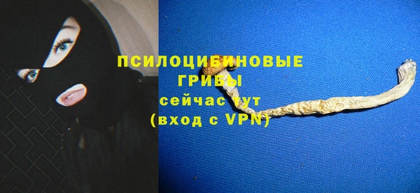 ПСИЛОЦИБИНОВЫЕ ГРИБЫ Богородицк