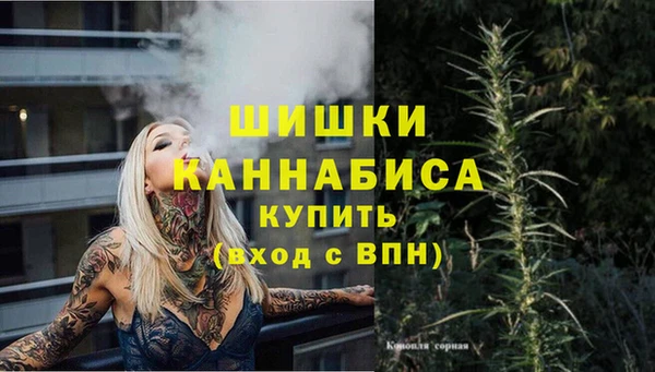 ПСИЛОЦИБИНОВЫЕ ГРИБЫ Богородицк